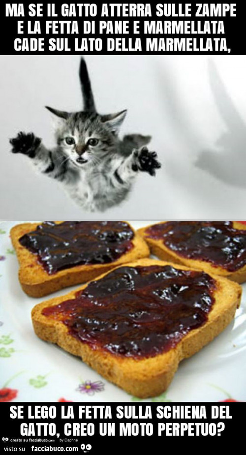 Ma se il gatto atterra sulle zampe e la fetta di pane e marmellata cade sul lato della marmellata, se lego la fetta sulla schiena del gatto, creo un moto perpetuo?