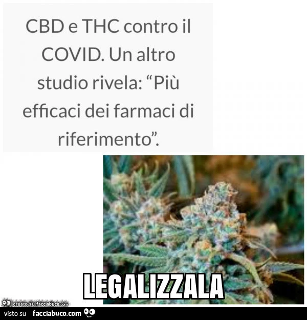 Legalizzala