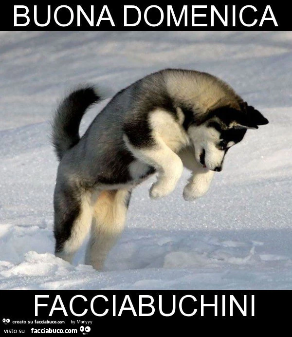 Buona domenica facciabuchini