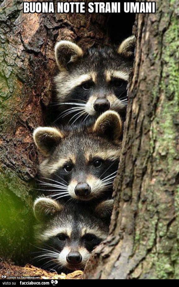 Buona notte strani umani