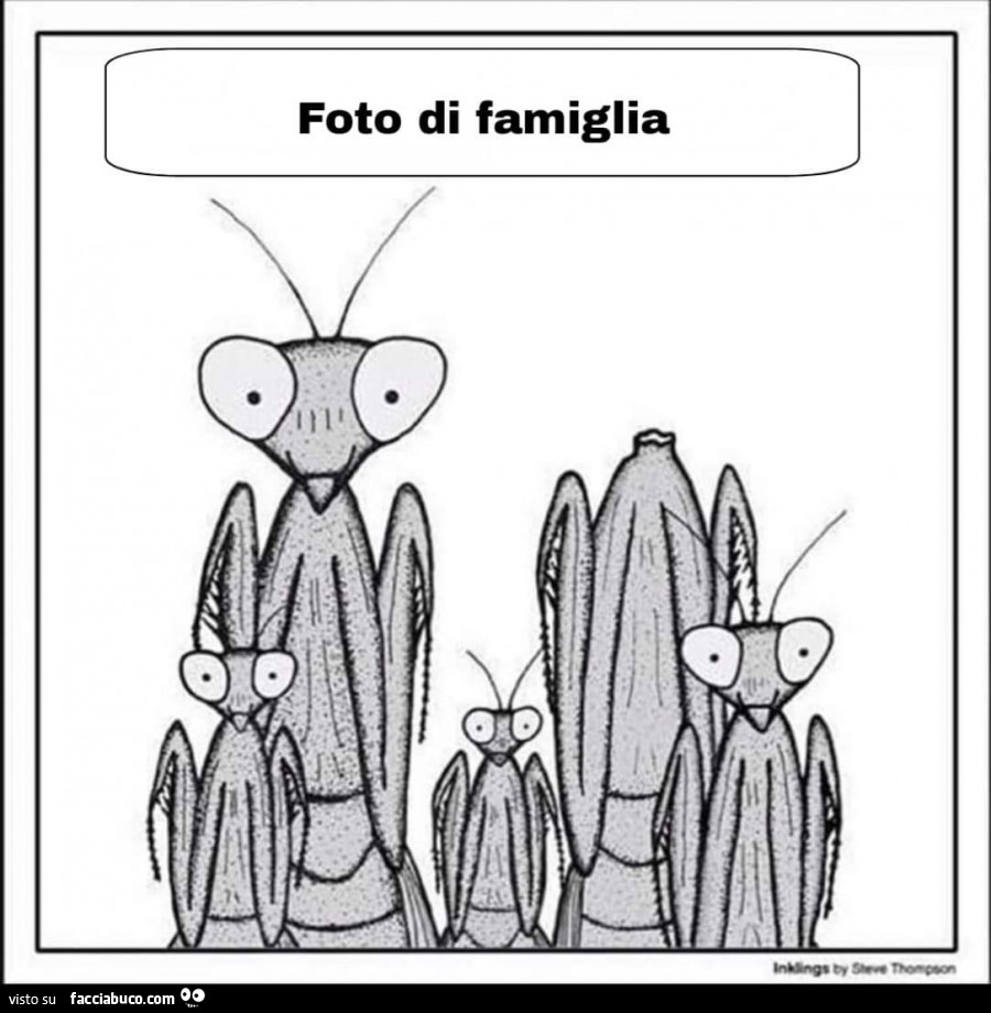 Foto di famiglia. Mantide Religiosa senza testa