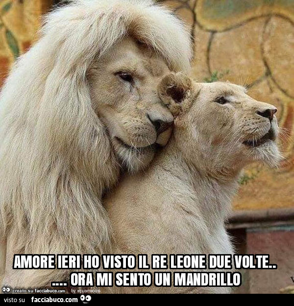 Amore ieri ho visto il re leone due volte… ora mi sento un mandrillo