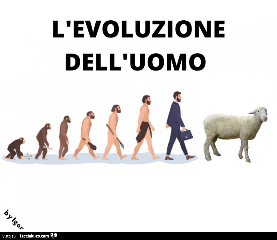 L'evoluzione dell'uomo