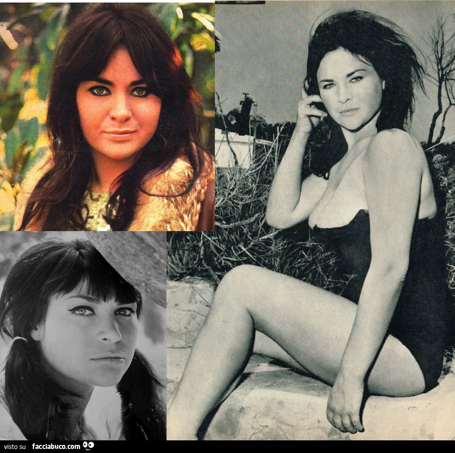 TIMELESS DIVAS