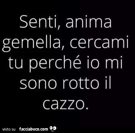 Senti, anima gemella, cercami tu perché io mi sono rotto il cazzo