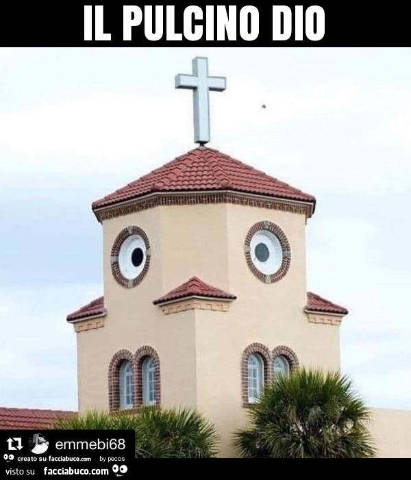 Il pulcino dio
