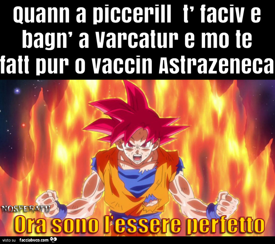 Vaccata