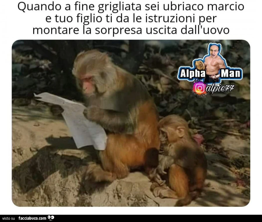Vaccata