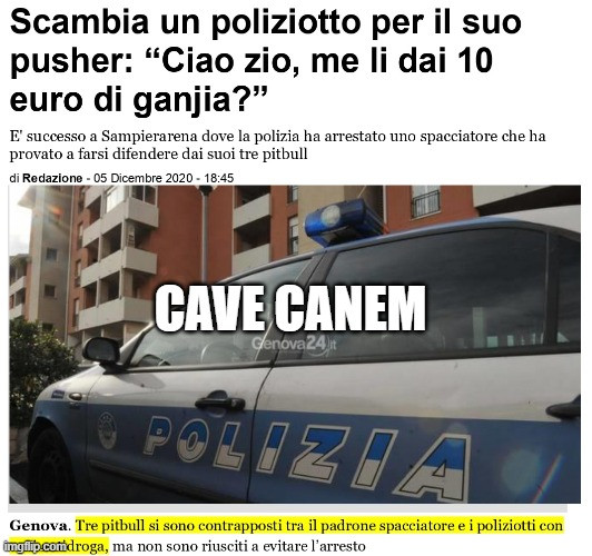 Vaccata
