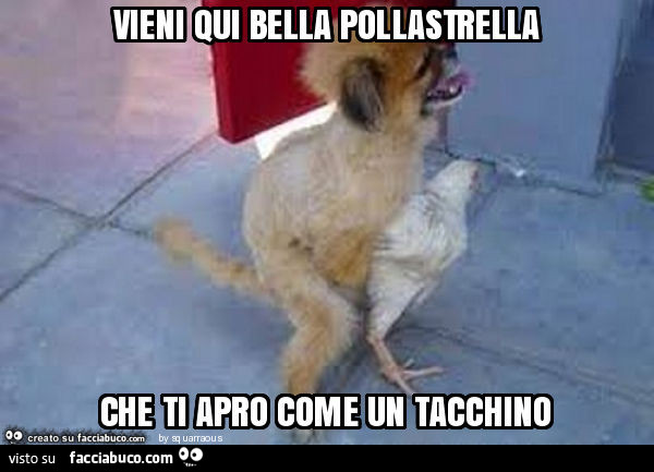 Vieni qui bella pollastrella che ti apro come un tacchino