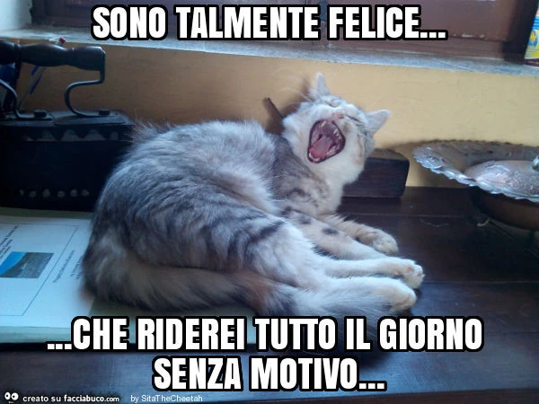 Sono talmente felice&hellip; che riderei tutto il giorno senza motivo