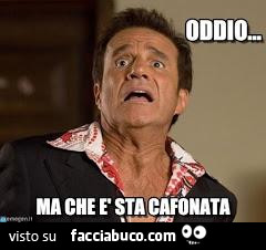 Vaccata