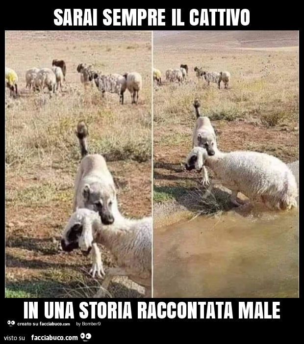 Sarai sempre il cattivo in una storia raccontata male