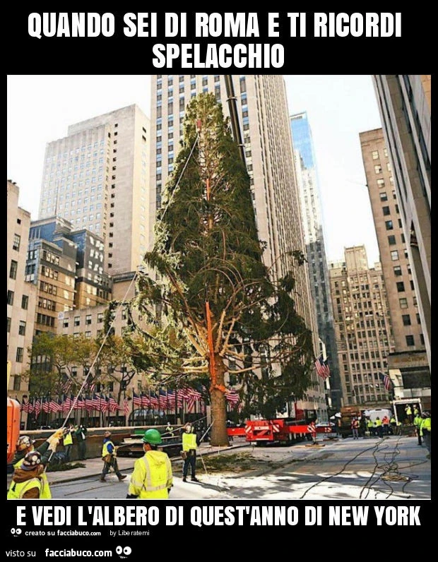 Quando sei di roma e ti ricordi spelacchio e vedi l'albero di quest'anno di new york