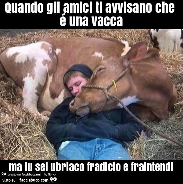 Quando gli amici ti avvisano che é una vacca ma tu sei ubriaco fradicio e fraintendi