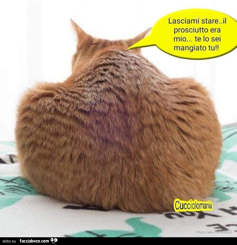 Vaccata