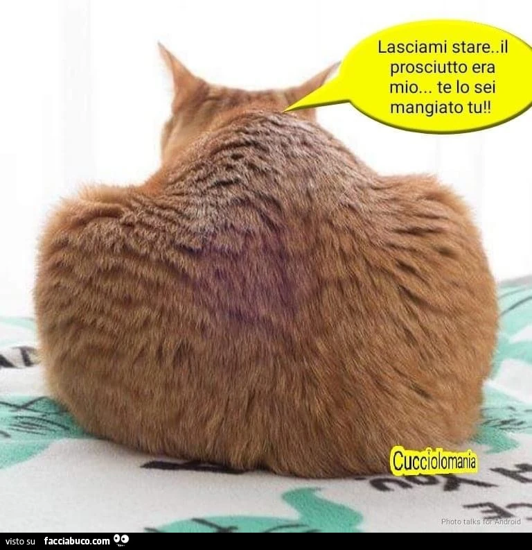 Vaccata