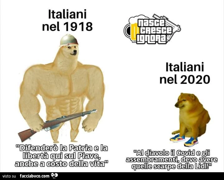 Vaccata