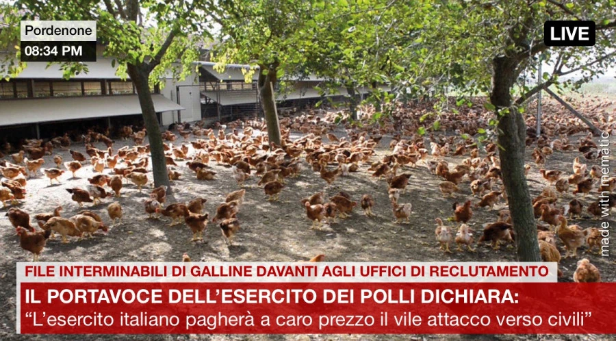 Reclutamento polli