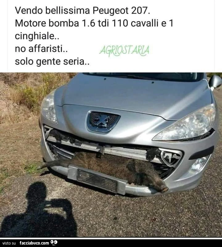 Vaccata