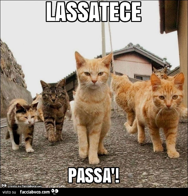 Lassatece passà