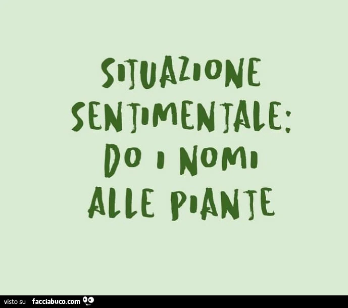 Situazione sentimentale: do i nomi alle piante