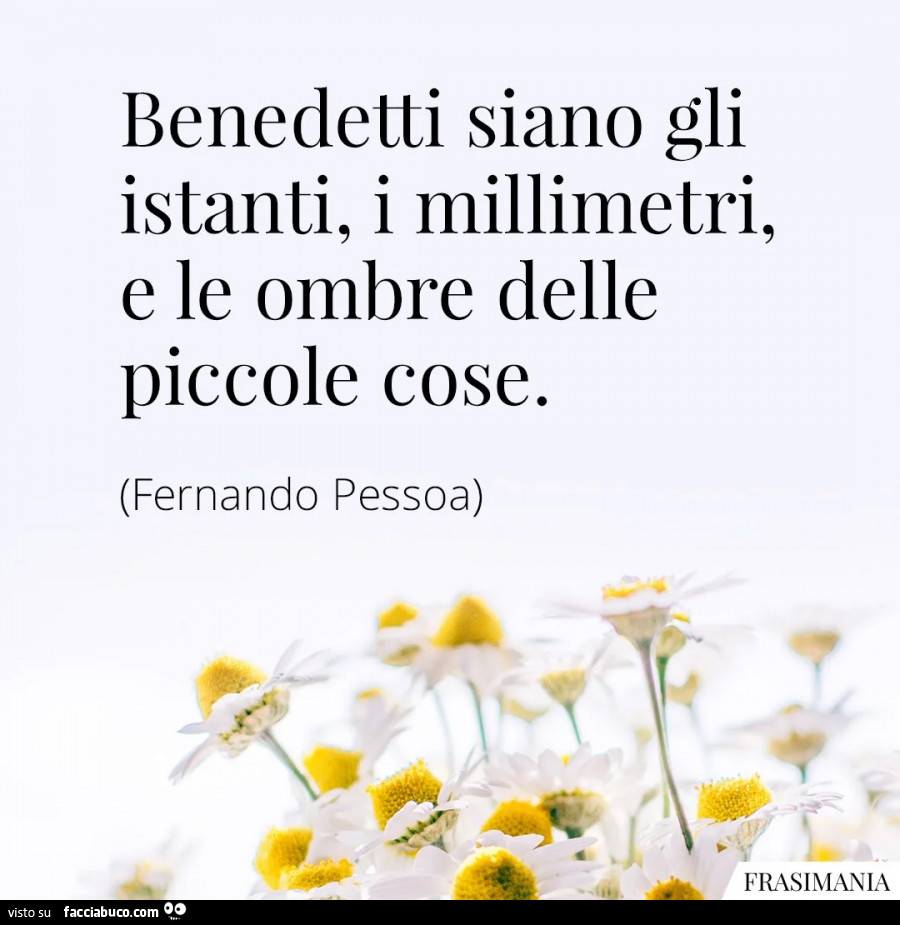 Benedetti siano gli istanti, i millimetri, e le ombre delle piccole cose. Fernando Pessoa