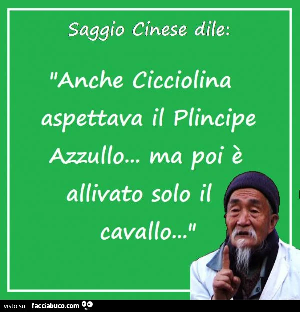 Saggio cinese dile: anche cicciolina aspettava il plincipe azzullo… ma poi è allivato solo il cavallo…