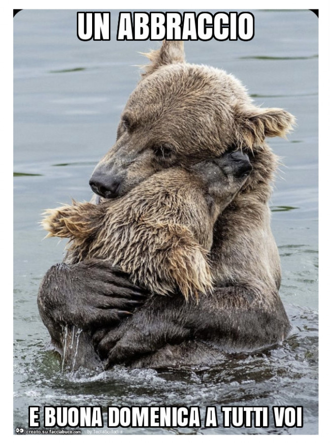 Un piccolo abbraccio da orso tascabile - Invio di un abbraccio da