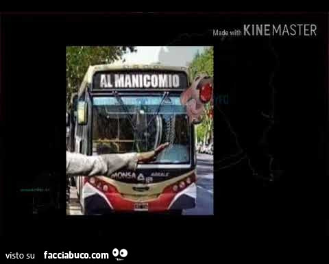 Autobus verso il manicomio