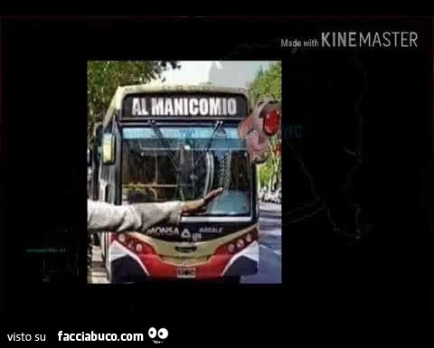 Autobus verso il manicomio