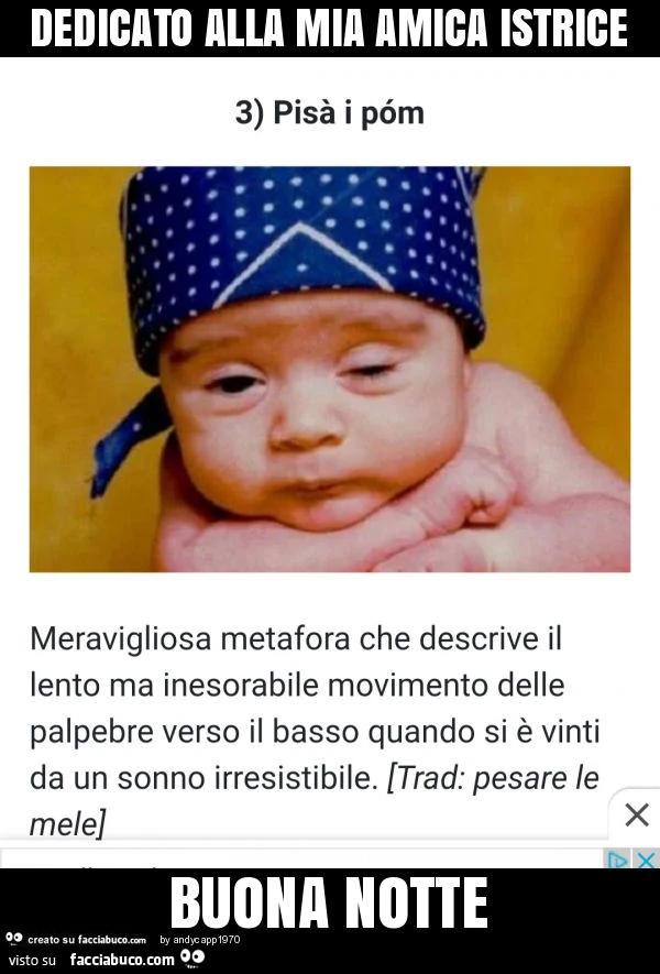 Dedicato alla mia amica istrice buona notte