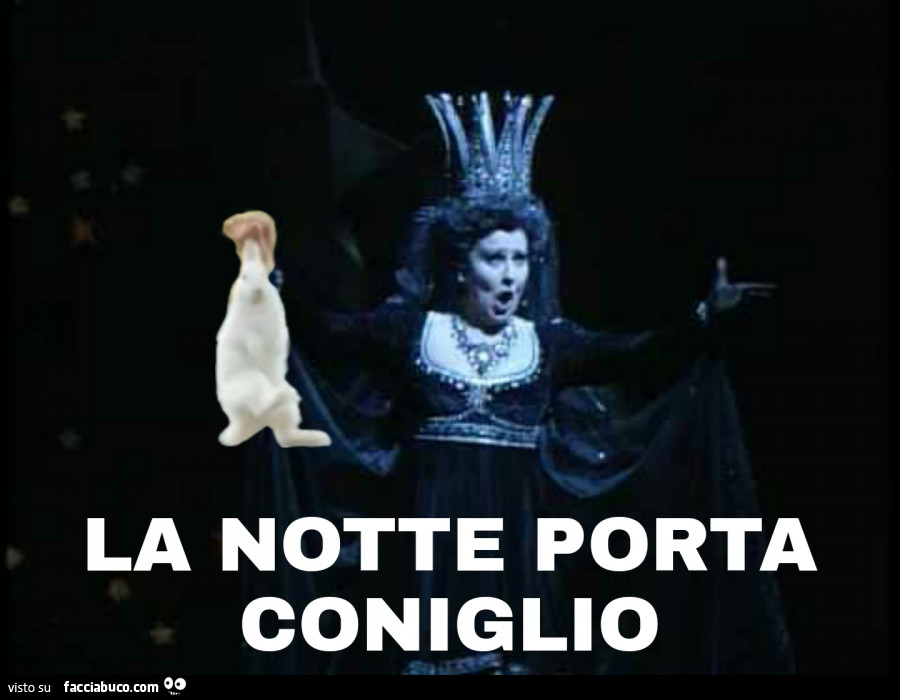 La notte porta coniglio