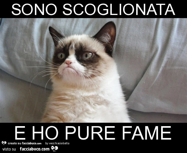 Sono scoglionata e ho pure fame