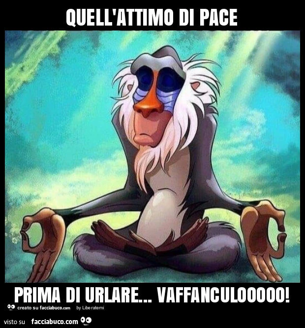 Quell'attimo di pace prima di urlare… vaffanculooooo