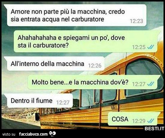 Vaccata