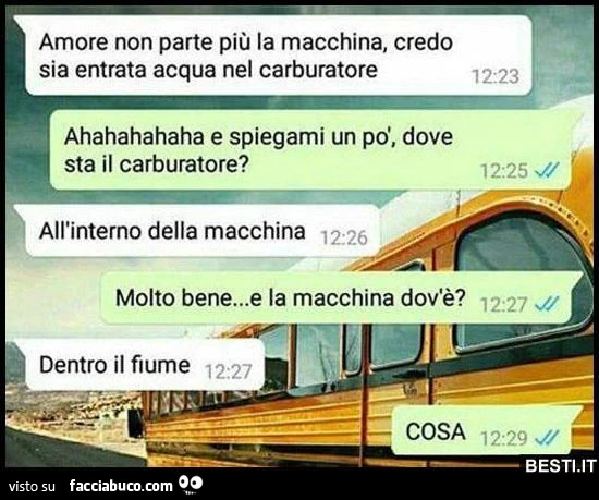 Vaccata
