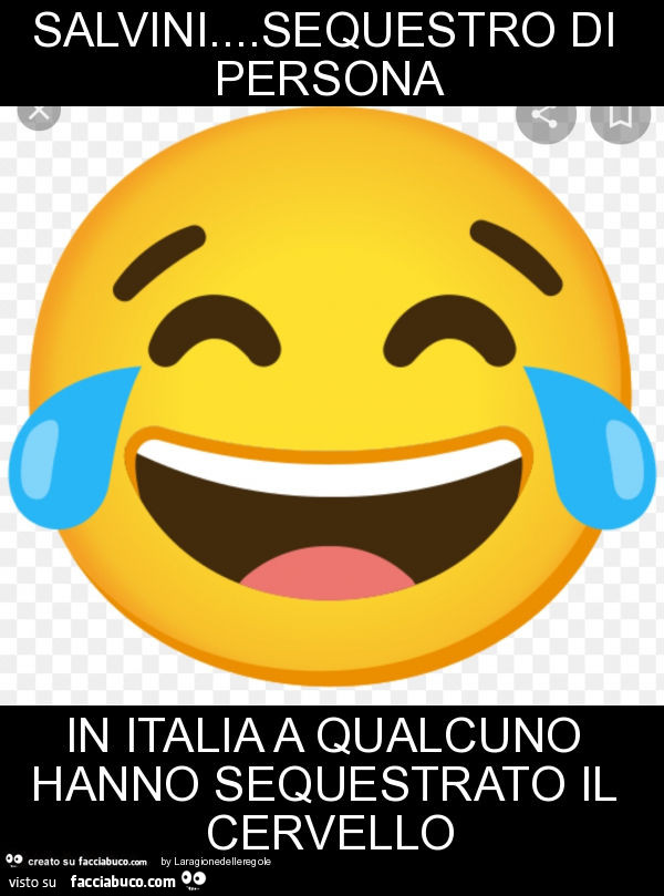 Salvini… sequestro di persona in italia a qualcuno hanno sequestrato il cervello