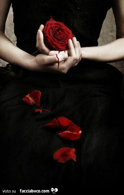Rosa e sangue dalla mano