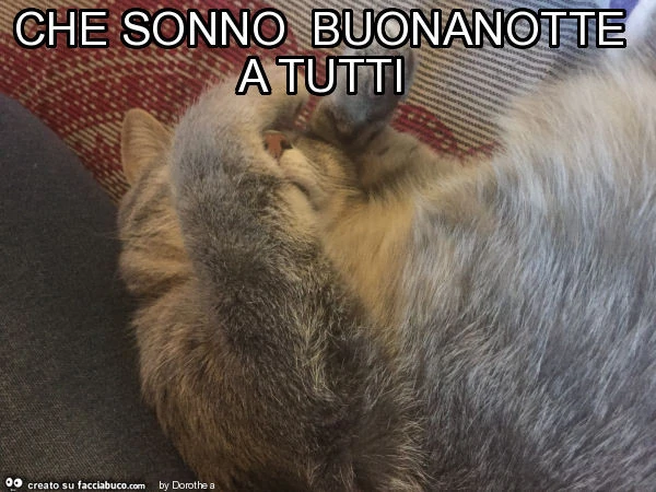 Che sonno buonanotte a tutti