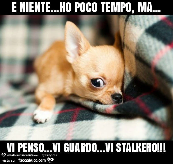 E niente&hellip; ho poco tempo, ma&hellip; vi penso&hellip; vi guardo&hellip; vi stalkero