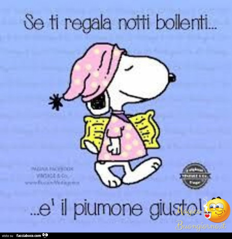 Buonanotte bollente ..… vaccata pubblicata da Nora - Facciabuco.com