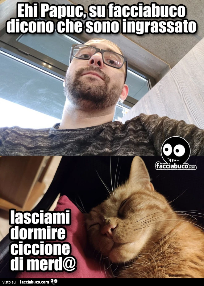 Ehi Papuc su facciabuco dicono che sono ingrassato. Lasciami dormire ciccione di merda