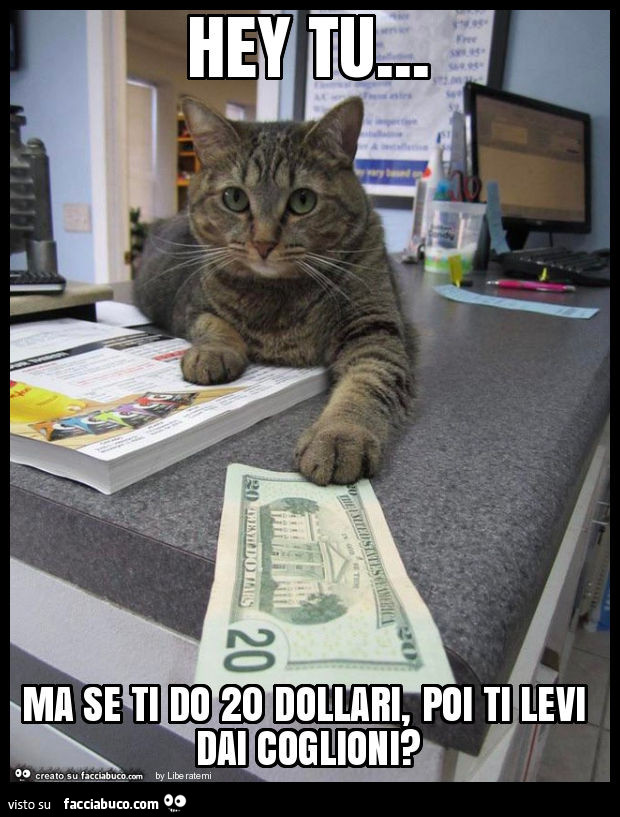 Hey tu… ma se ti do 20 dollari, poi ti levi dai coglioni?