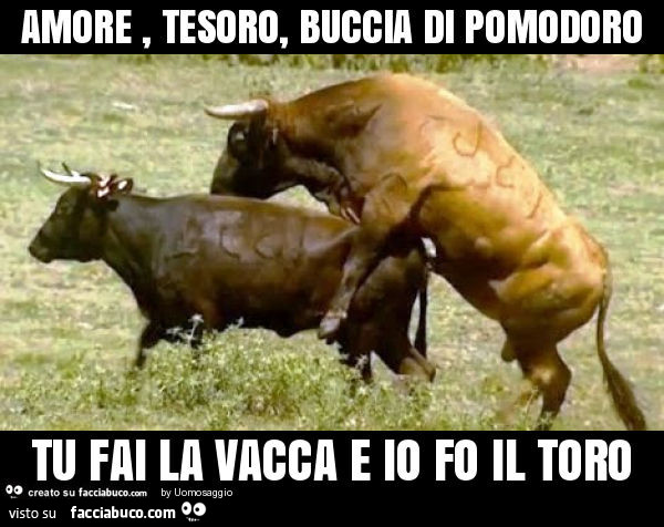 Amore, tesoro, buccia di pomodoro tu fai la vacca e io fo il toro