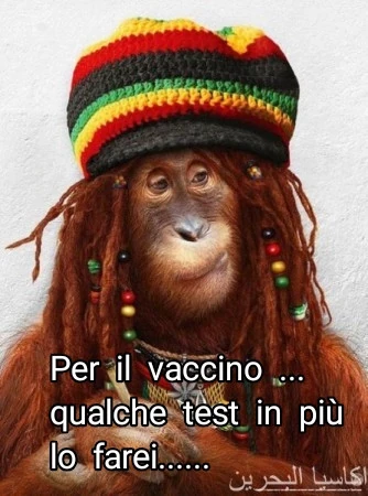 Vaccata