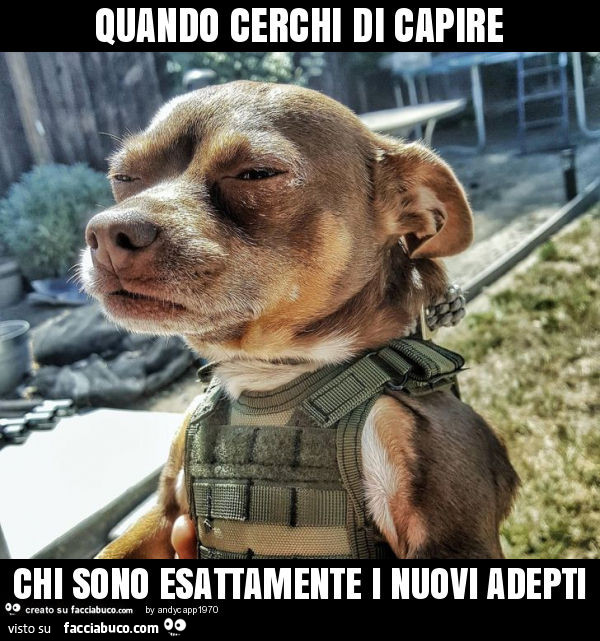 Quando cerchi di capire chi sono esattamente i nuovi adepti