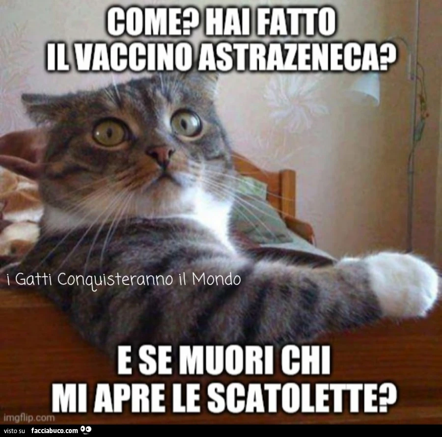 Vaccata