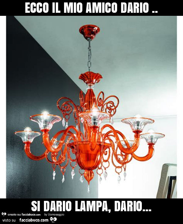 Ecco il mio amico dario. Si dario lampa, dario