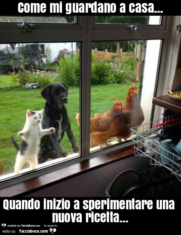 Come mi guardano a casa&hellip; quando inizio a sperimentare una nuova ricetta